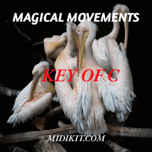 Magical Movements